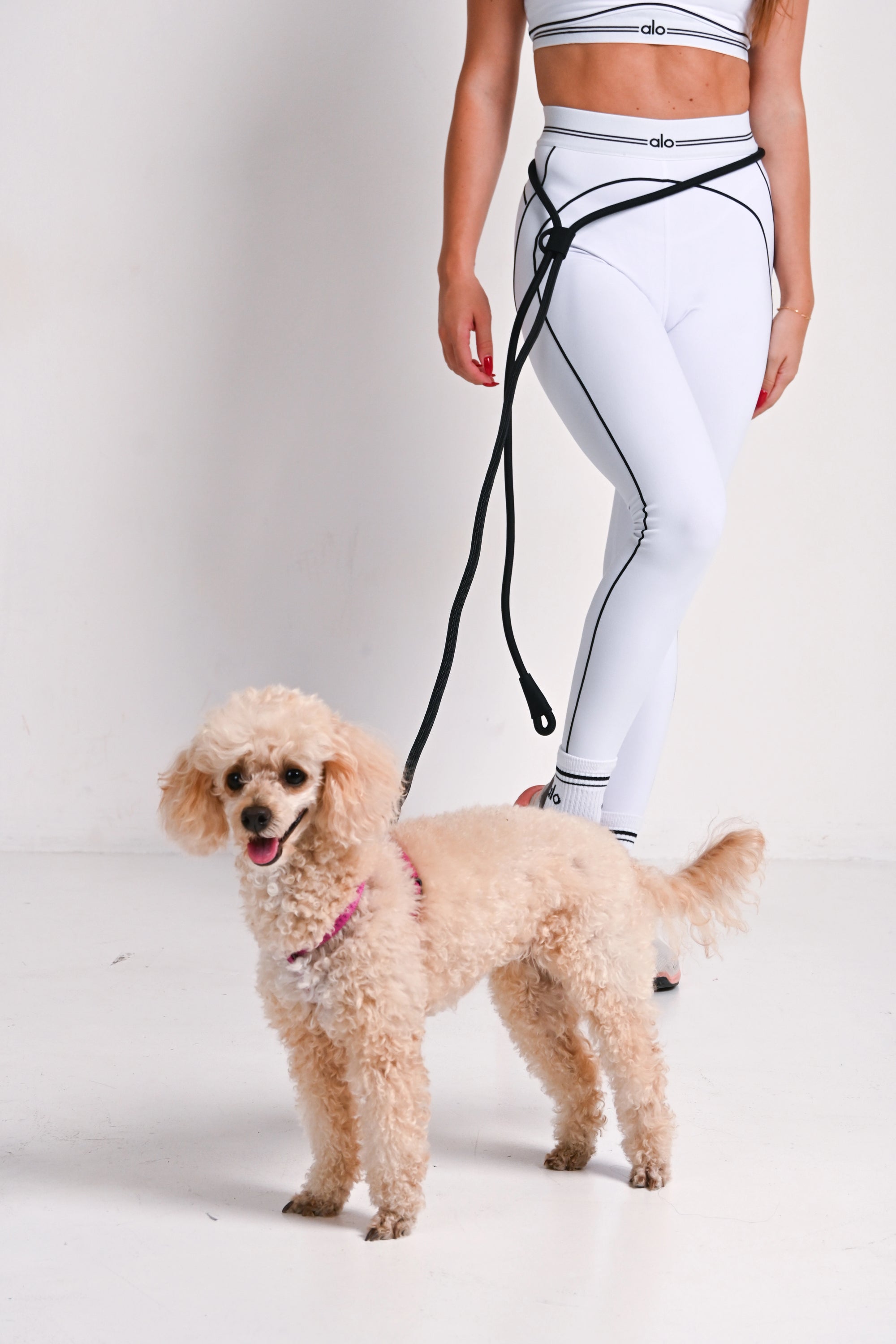 Hands free dog leash - Black
