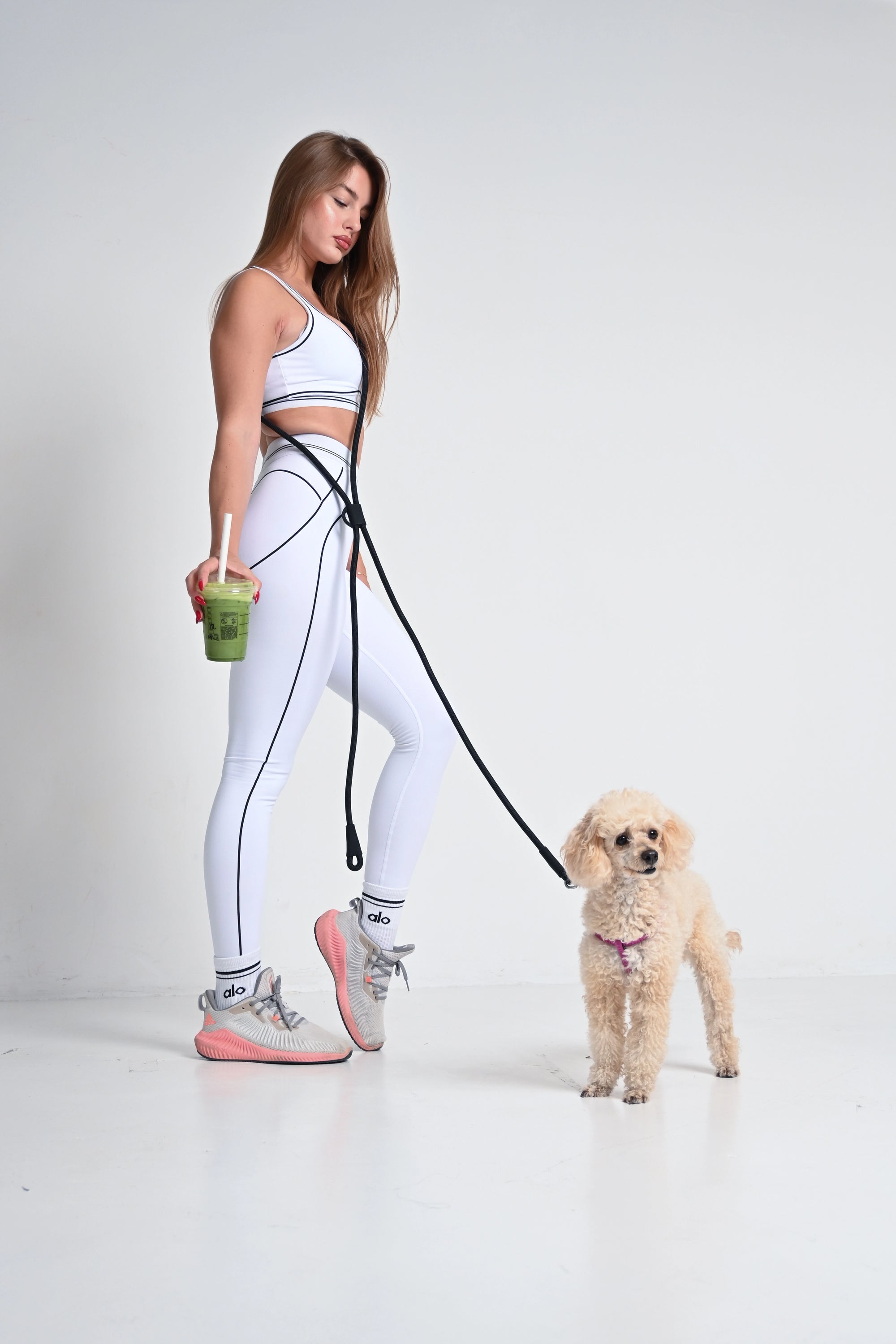 Hands free dog leash - Black