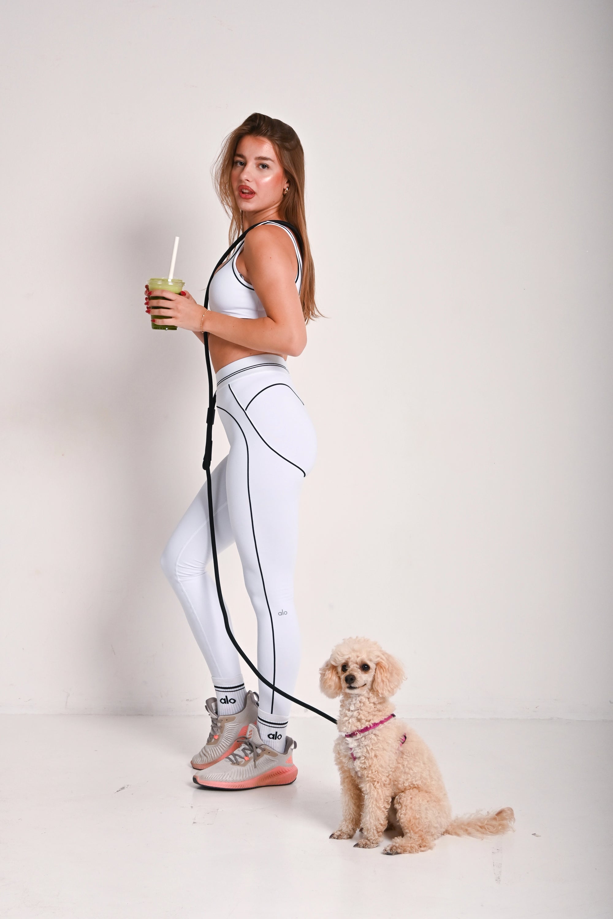 Hands free dog leash - Black