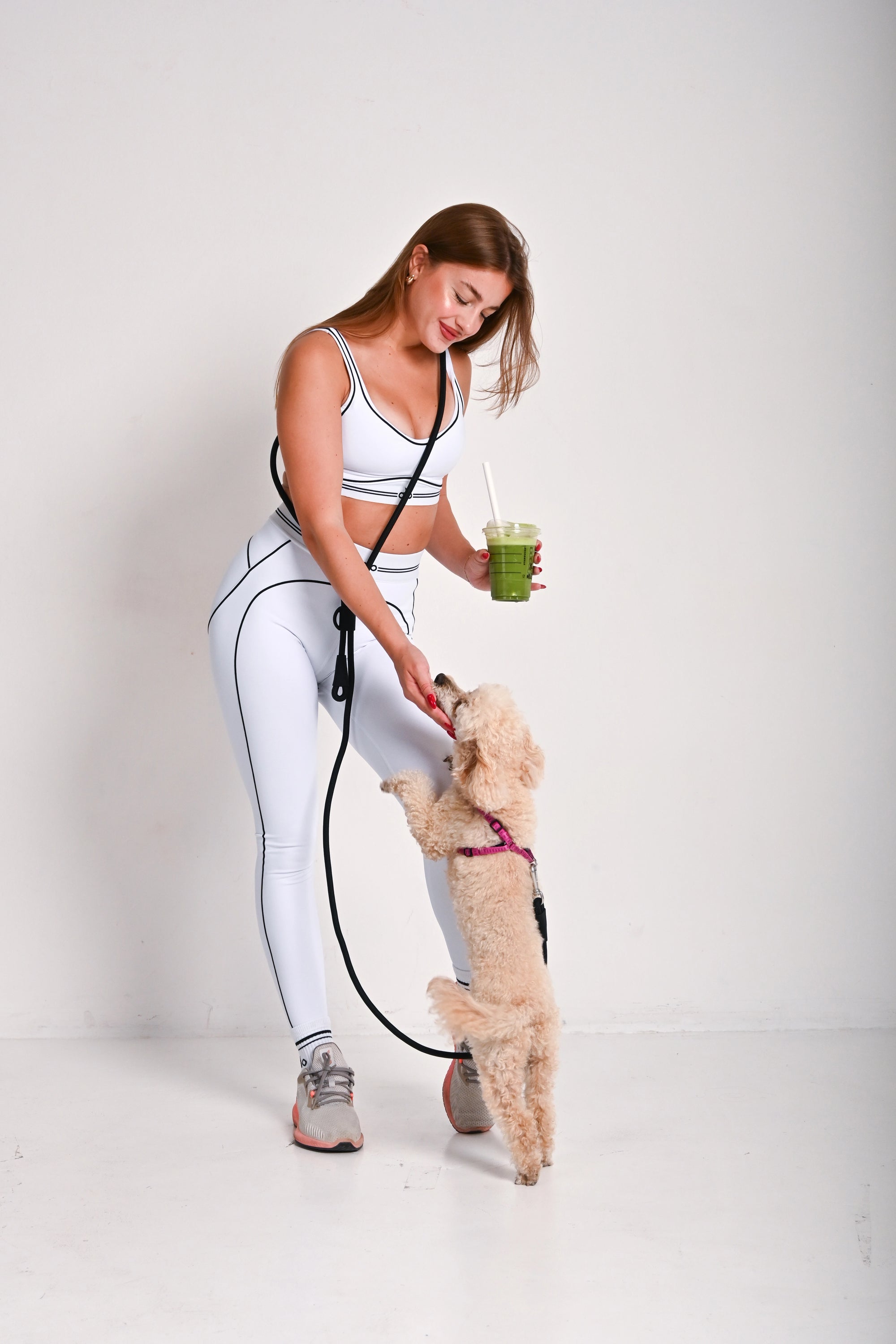 Hands free dog leash - Black