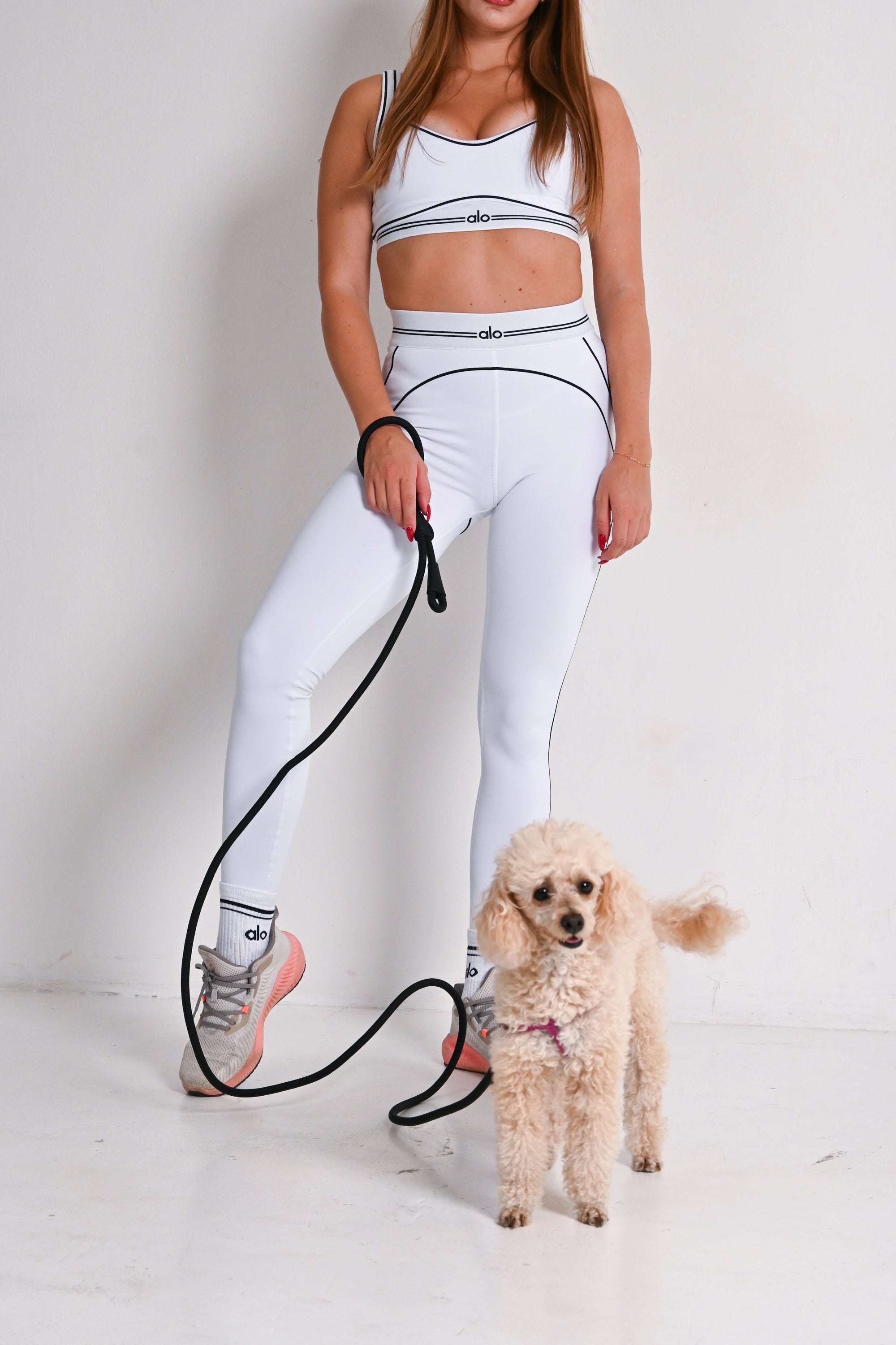 Hands free dog leash - Black