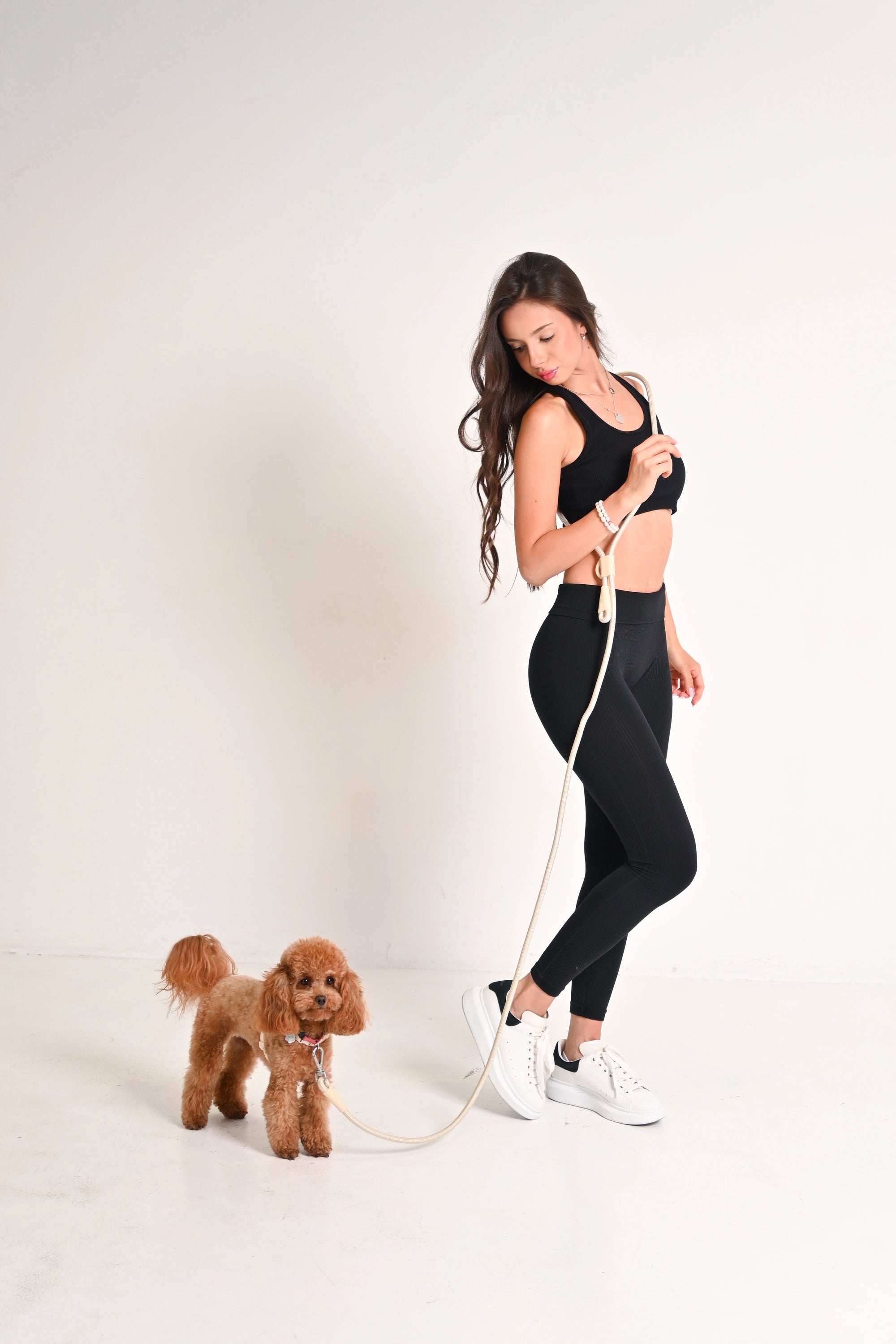Hands free dog leash - Beige