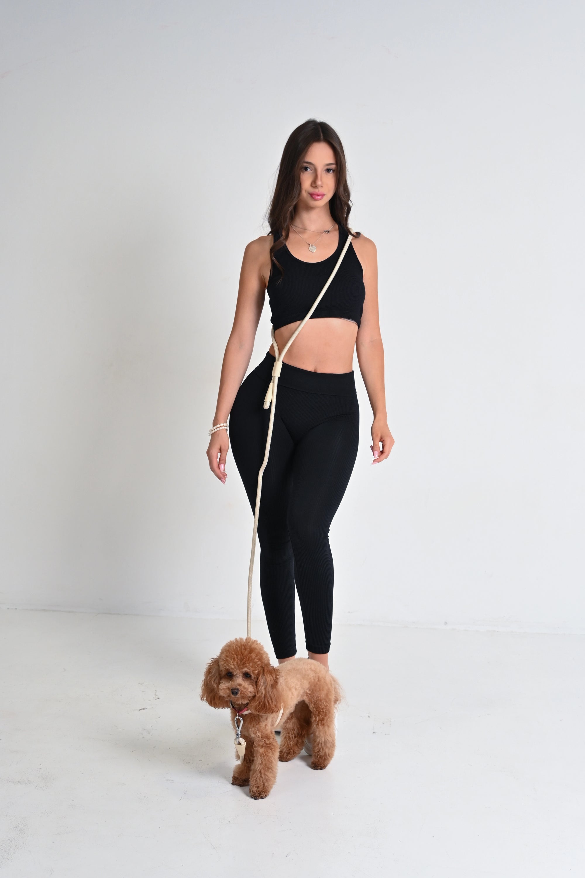 Hands free dog leash - Beige