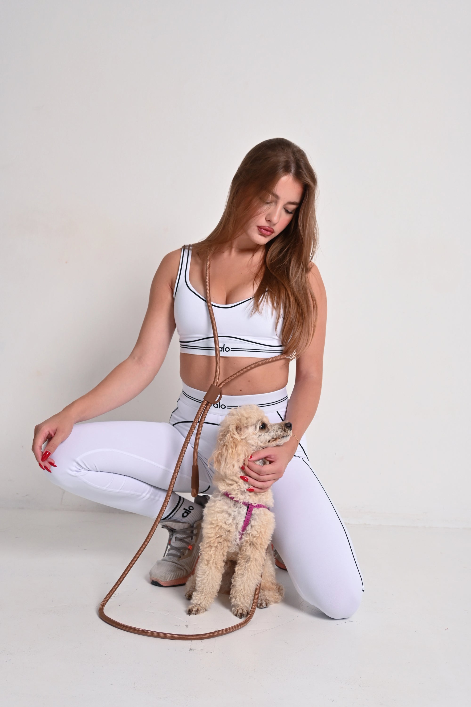 Hands free dog leash - Brown