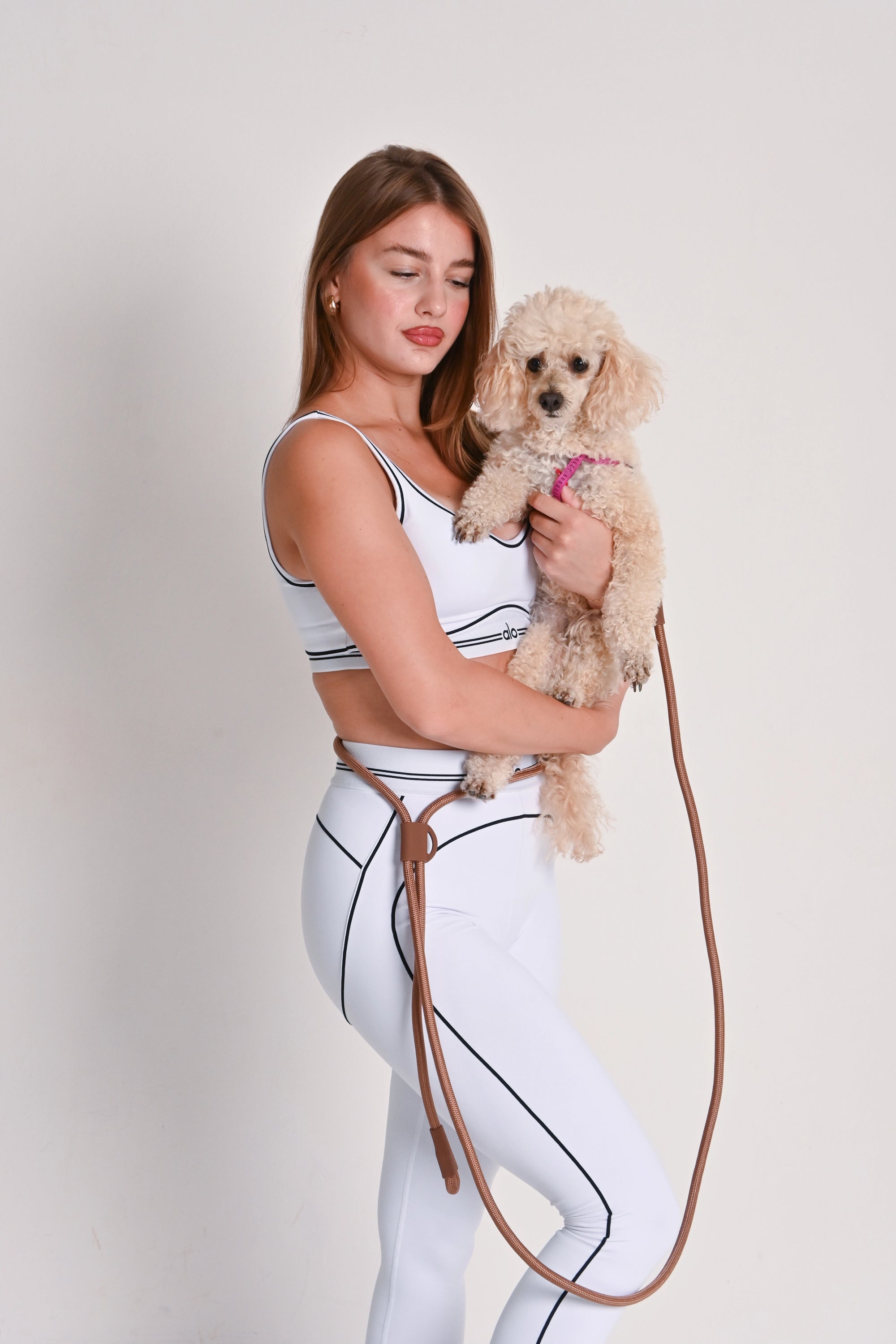 Hands free dog leash - Brown
