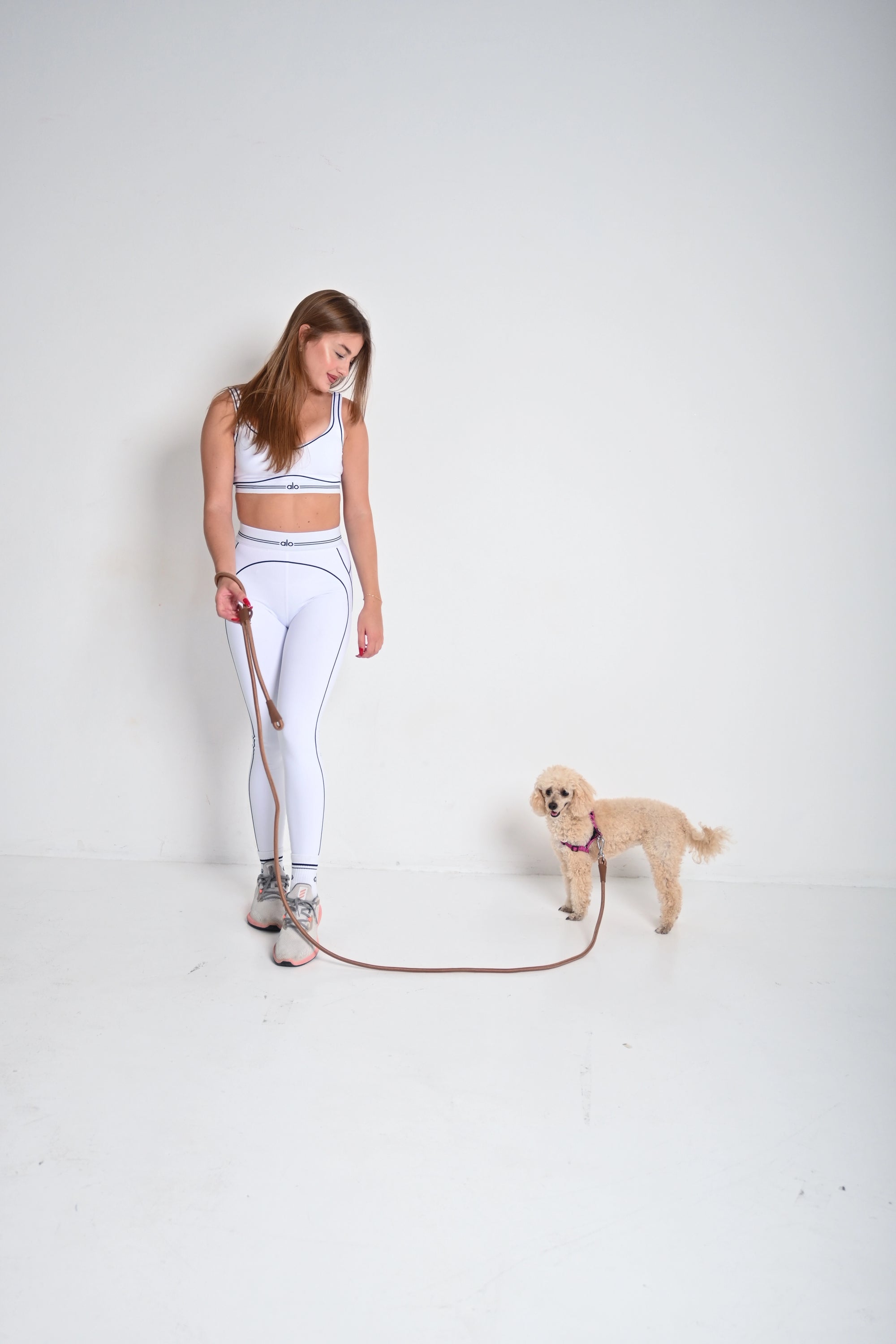 Hands free dog leash - Brown
